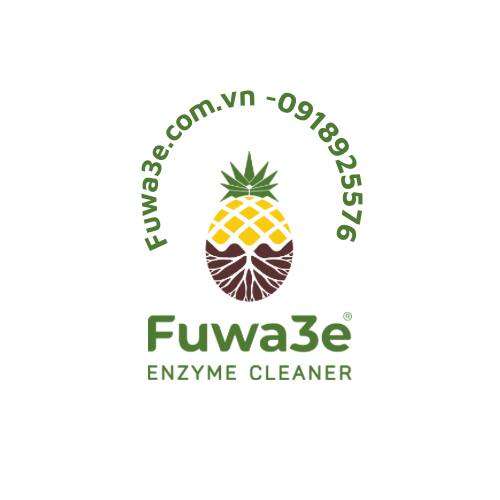 Fuwa3e Enzyme Cleaner