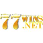 77WINs Net