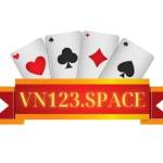 VN123 vn123space