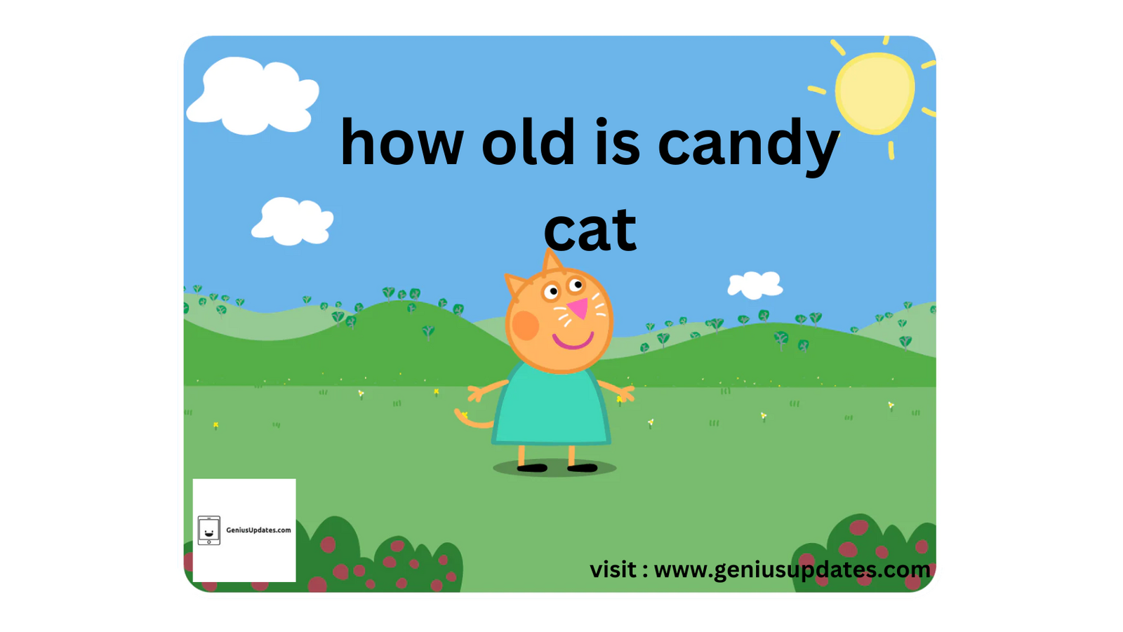 Unveiling the Age of Candy Cat: A Peek into the World of Children's Characters - Blog View - SESolutions Demo