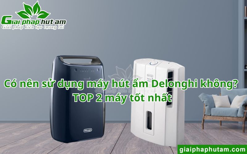 Có nên sử dụng máy hút ẩm Delonghi không? TOP 2 máy tốt nhất