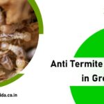 How Did Rodent Control in Greater Noida Become the Best? – Pest Control Noida
