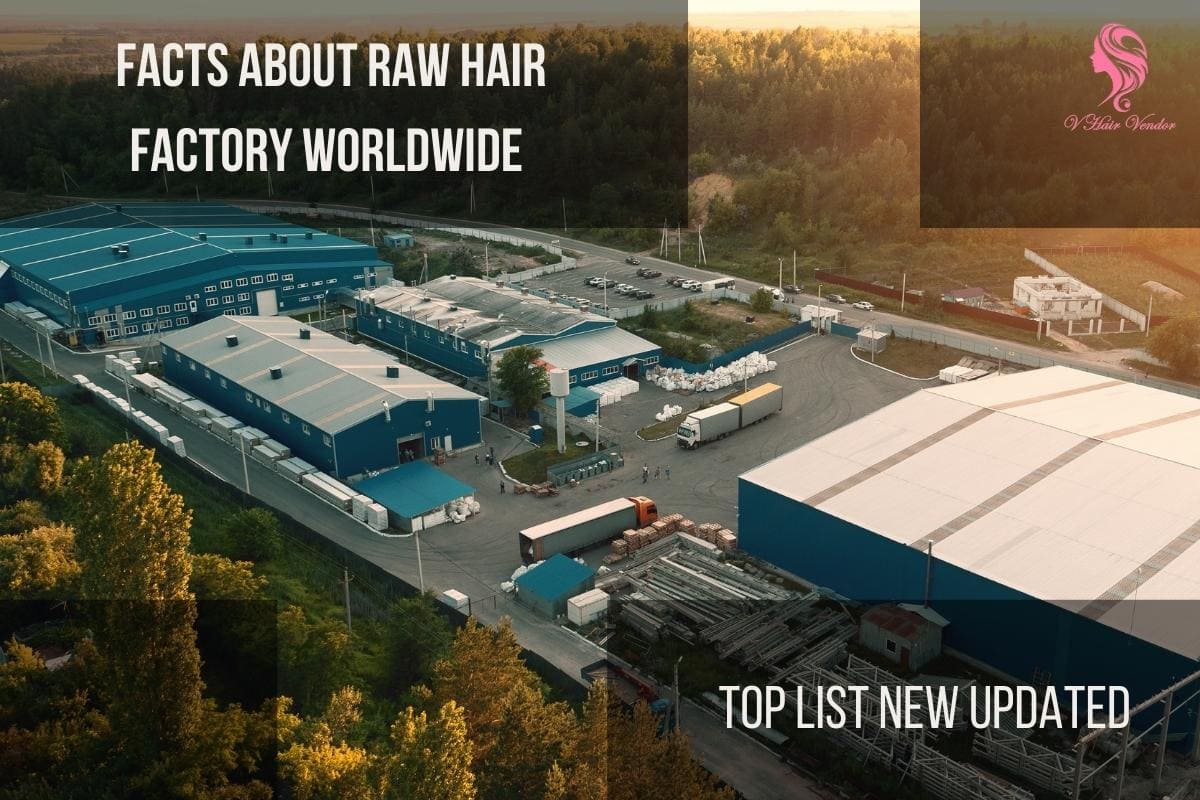 Top 10 Best Raw Hair Factory That You Should Not Miss | Vin Hair Vendor
