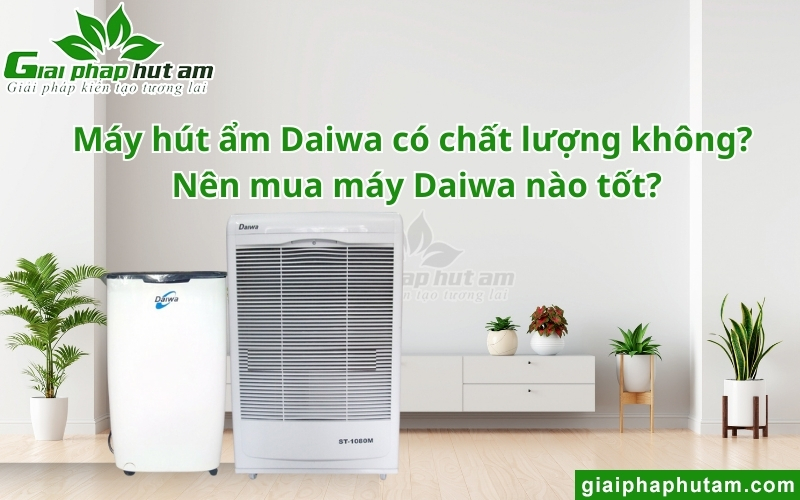 Máy hút ẩm Daiwa có chất lượng không? Nên mua máy Daiwa nào tốt?