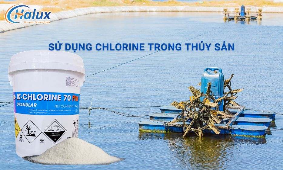 Ứng dụng của Chlorine trong thủy sản và hướng dẫn sử dụng