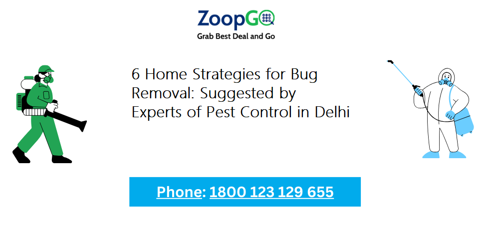 6 Home Strategies for Bug Removal: Suggested by Experts of Pest Control in Delhi | by Zoopgopr | Apr, 2024 | Medium