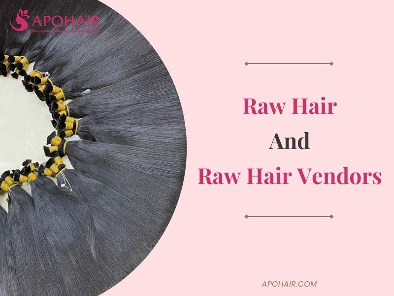 All Things About Raw Hair And Raw Hair Vendors | Apohair