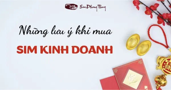 Sim kinh doanh đem lại tài lộc, chắp cánh thành công