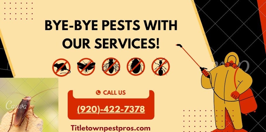 Your Trusted Pest Control Service in Appleton | Title Town Pest Pros | by Title Town Pest Pros | Medium