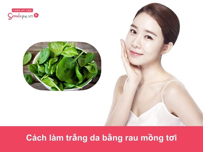 9 Cách làm trắng da bằng rau mồng tơi tại nhà hiệu quả