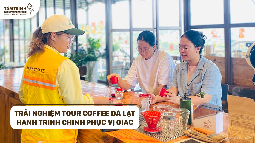 Trải Nghiệm Tour Coffee Đà Lạt - Hành Trình Chinh Phục Vị Giác - Tám Trình Coffee Experiences - Dalat Coffee Tour