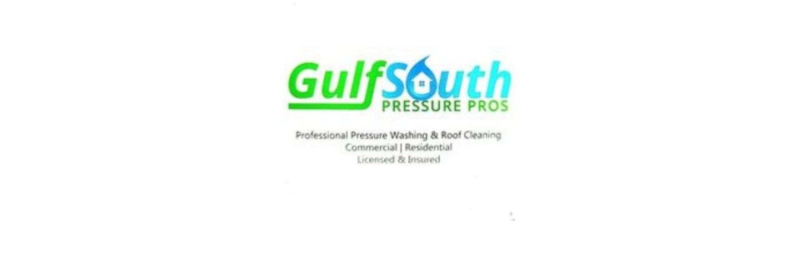 GulfSouth Pressure Pros LLC