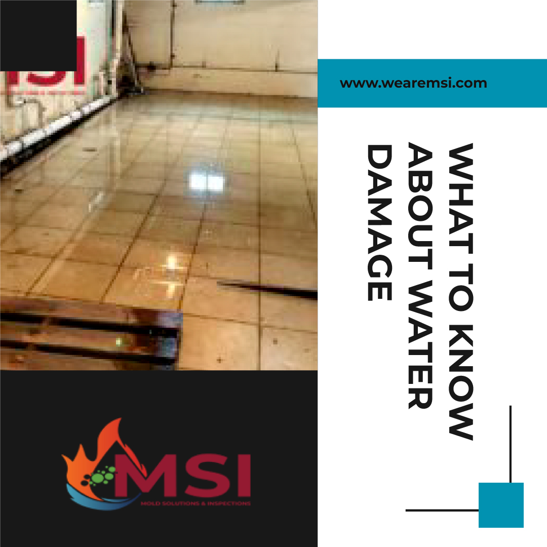 Understanding the Impact of Water Damage: A Comprehensive Guide: wearemsi0 — LiveJournal