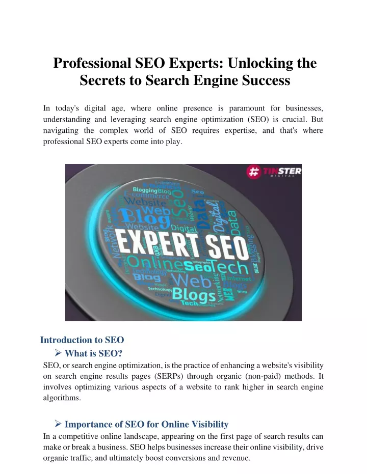 PPT - Professional SEO Experts: Unlocking the Secrets to Search Engine Success PowerPoint Presentation - ID:13215475