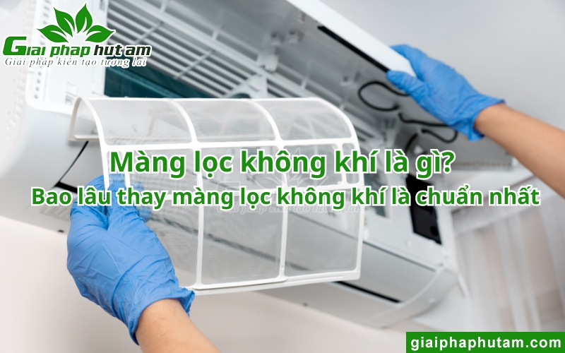 Màng lọc không khí là gì? Bao lâu thay màng lọc không khí là chuẩn nhất