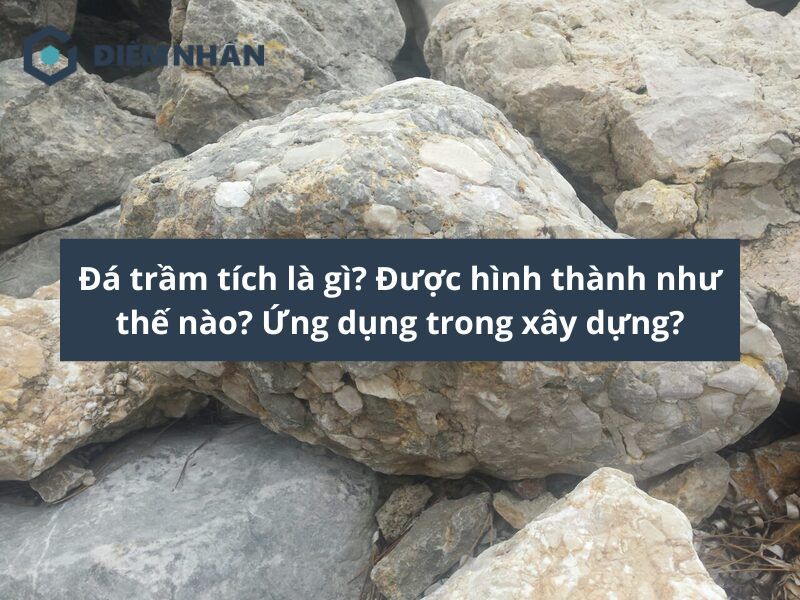 Đá trầm tích là gì? Được hình thành như thế nào? Ứng dụng?