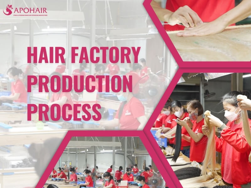 The Hair Factory Production Process At Apohair | Apohair