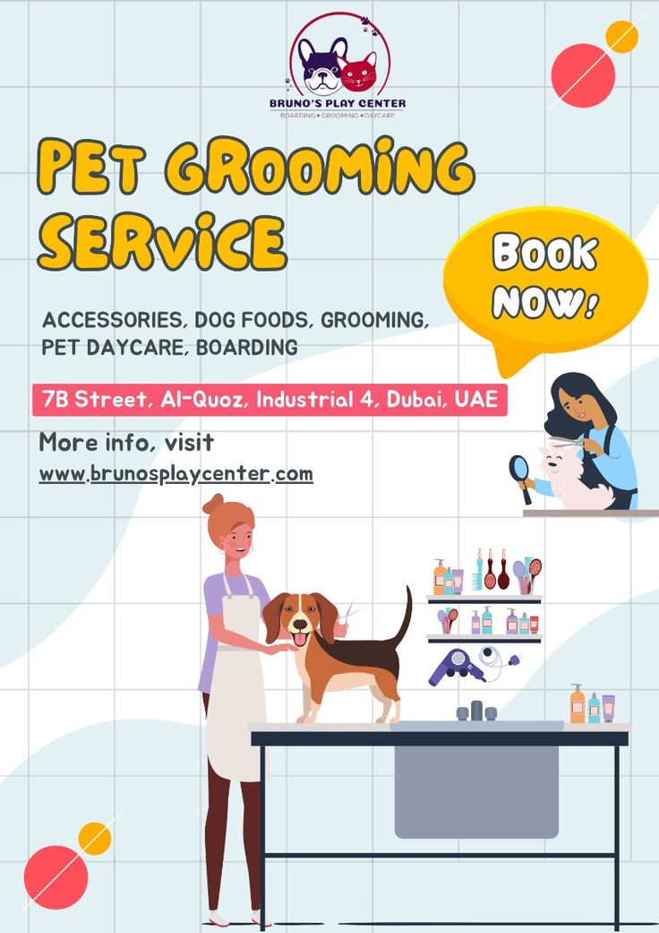 Budget-Friendly Dog Grooming in Dubai: A Wag-Worthy Experience in 2024 | Dog grooming, Grooming, Pet grooming