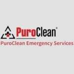 PuroClean Emergency Services