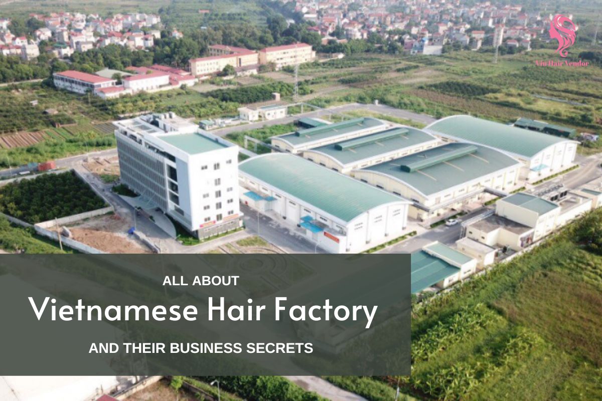 Exploring Top 10 Most Reputable Vietnamese Hair Factories | Vin Hair Vendor