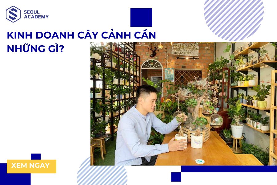 Kinh doanh cây cảnh cần những gì để thành công?