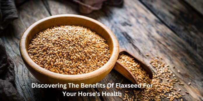 Discovering The Benefits Of Flaxseed For Your Horse’s Health - South Africa Today