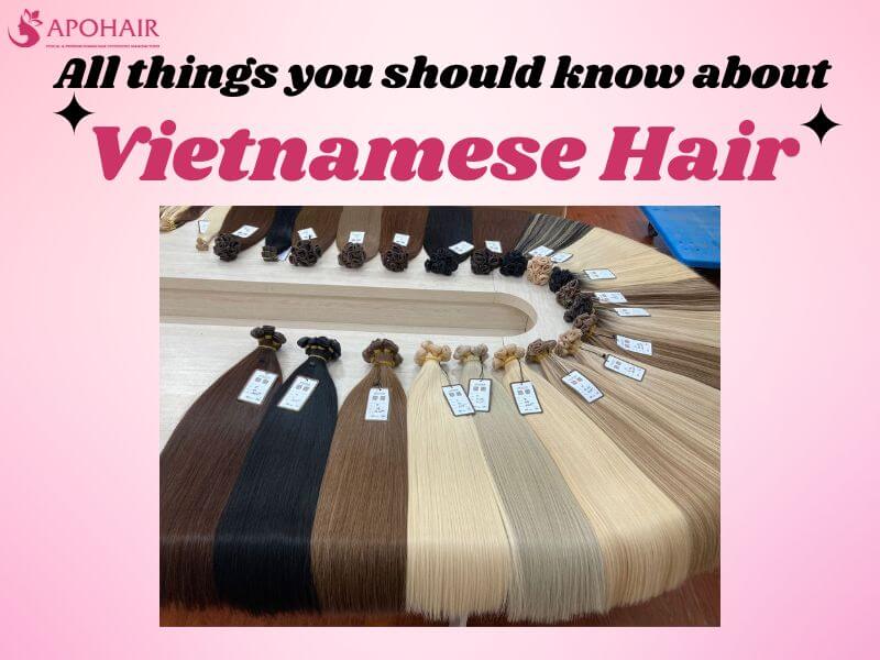 All Things You Should Know About Vietnamese Hair | Apohair