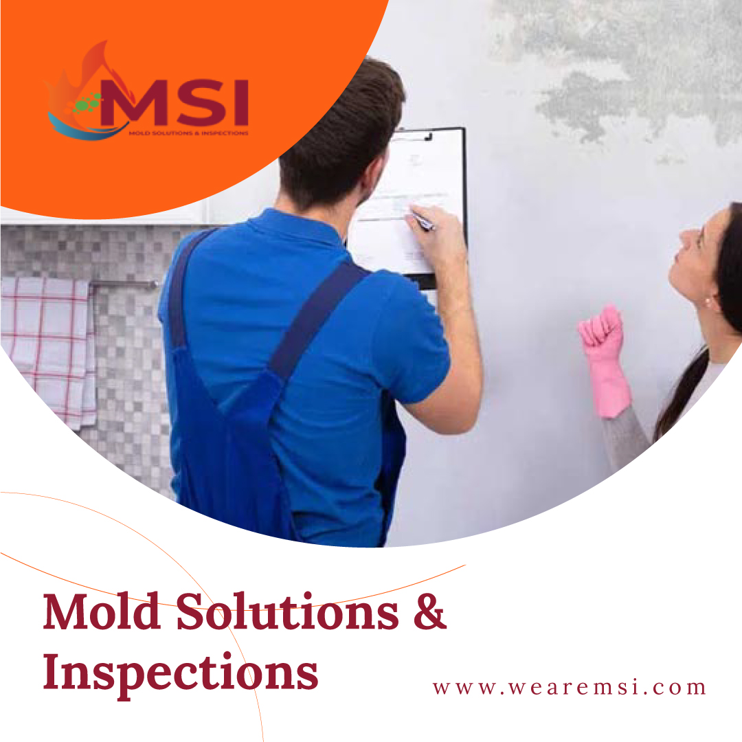 Banishing the Mold Menace: A Comprehensive Guide to Mold Remediation Services – Mold Solutions & Inspections