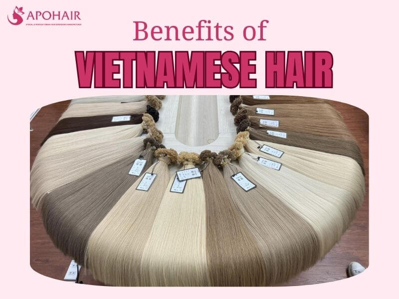 Exploring The Benefits Of Vietnamese Hair | Apohair