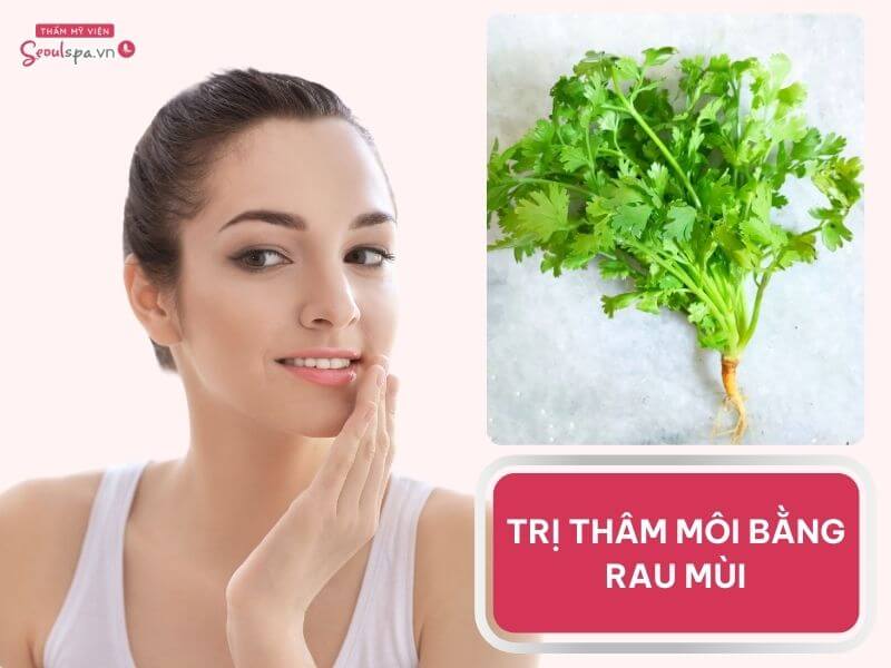 TOP 5 cách trị thâm môi bằng rau mùi hiệu quả đến bất ngờ