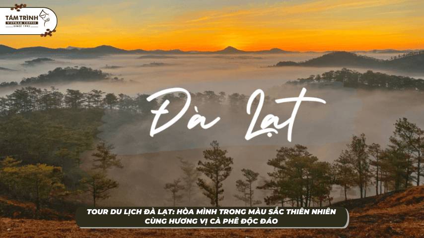 Tour Du Lịch Đà Lạt: Hòa Mình Vào Thiên Nhiên - Tám Trình Coffee Experiences - Dalat Coffee Tour