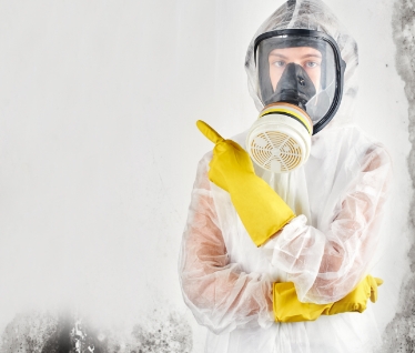 Mold Inspection Services | Mold Solutions & Inspections, LLC