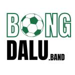 Bongdalu band