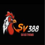 SV388 đá gà