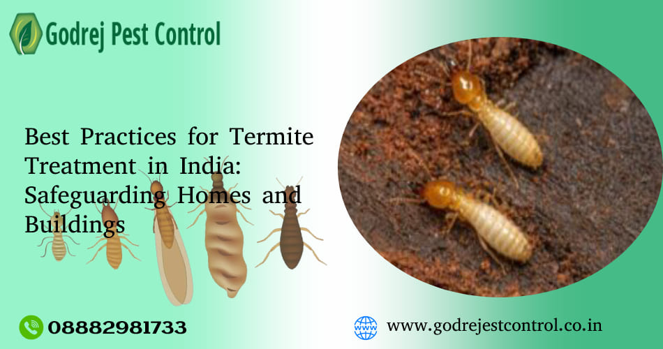 Best Practices for Termite Treatment in India: Safeguarding Homes and Buildings