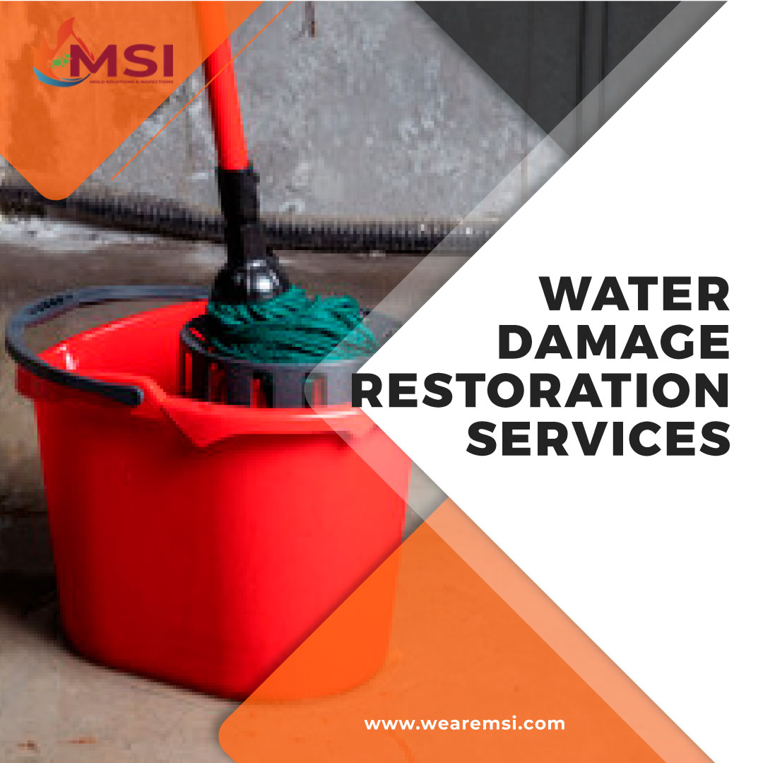 Water Damage Restoration Services: Steps to Recovery – Mold Solutions & Inspections