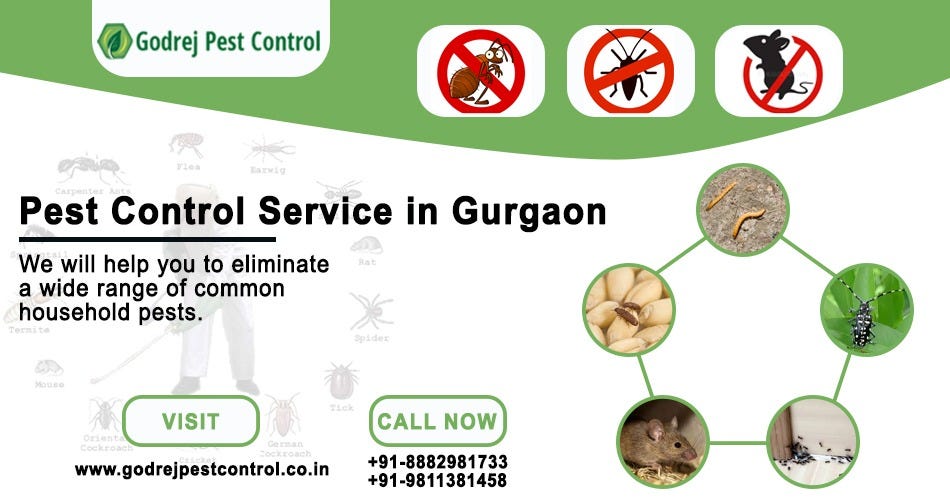 Effective Pest Control Services in Gurgaon: Ensuring a Healthy and Safe Living Space | by Godrej Pest Control | Jun, 2024 | Medium