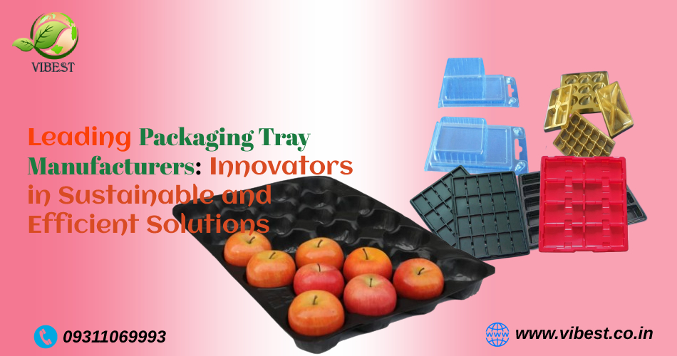 Leading Packaging Tray Manufacturers: Innovators in Sustainable and Efficient Solutions