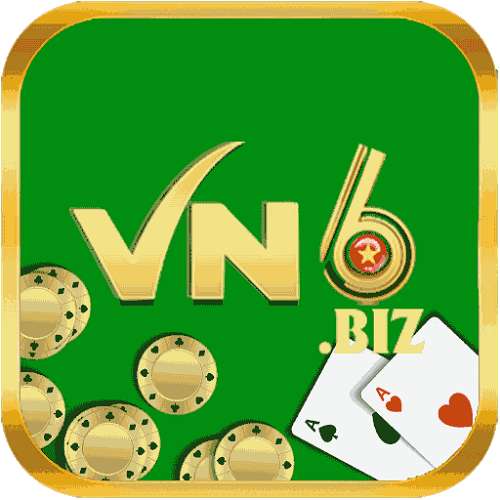 vn6 biz