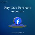 usa accountbiz