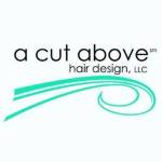 A Cut Above Hair