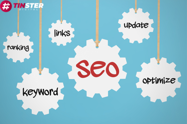 How to Choose an Expert SEO Consultant Sydney – A Precise Overview – TINSTER Digital