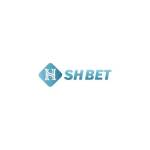 shbet8 ltd