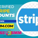 Buy Verified Stripe Accounts