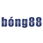 Bóng88 VN