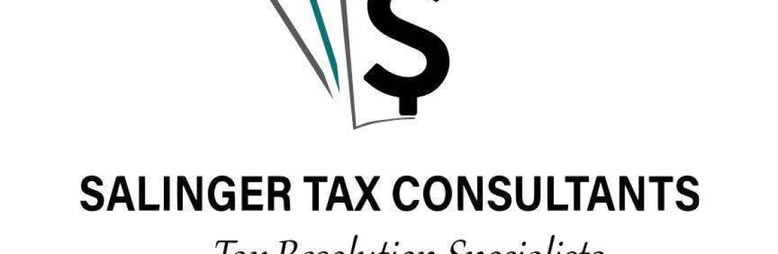 IRS Tax Consultant