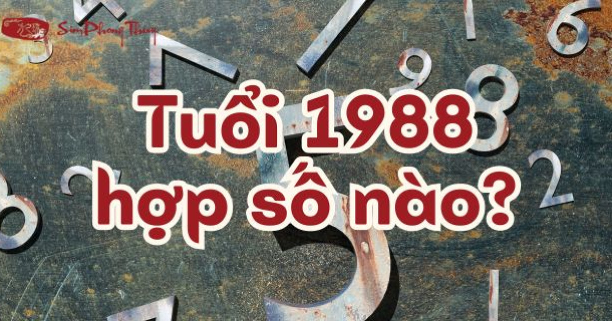 Tuổi Thìn 1988 hợp số nào? Con số nào may mắn cho tuổi 1988?