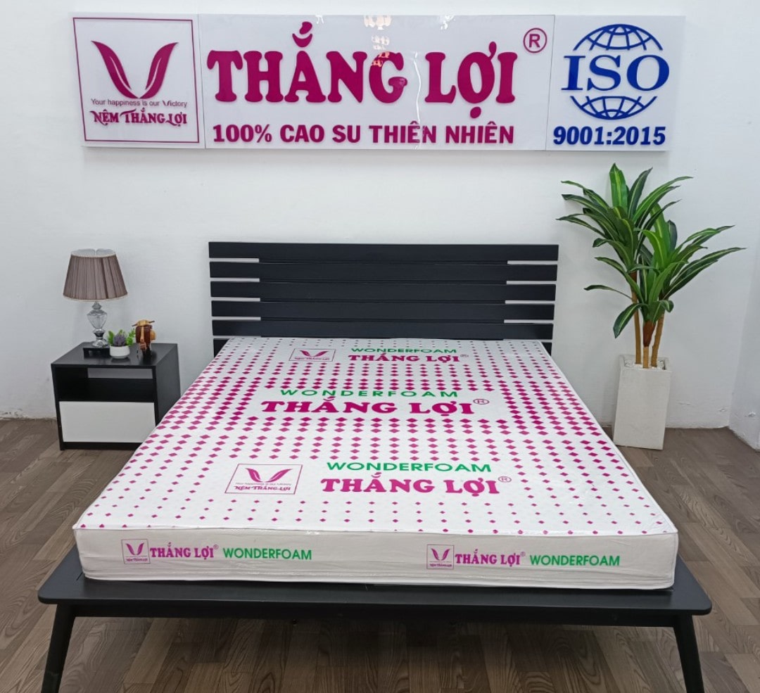 Cửa hàng bán nệm cao su non Thanh Hóa uy tín, chất lượng - KHO NỆM THẮNG LỢI