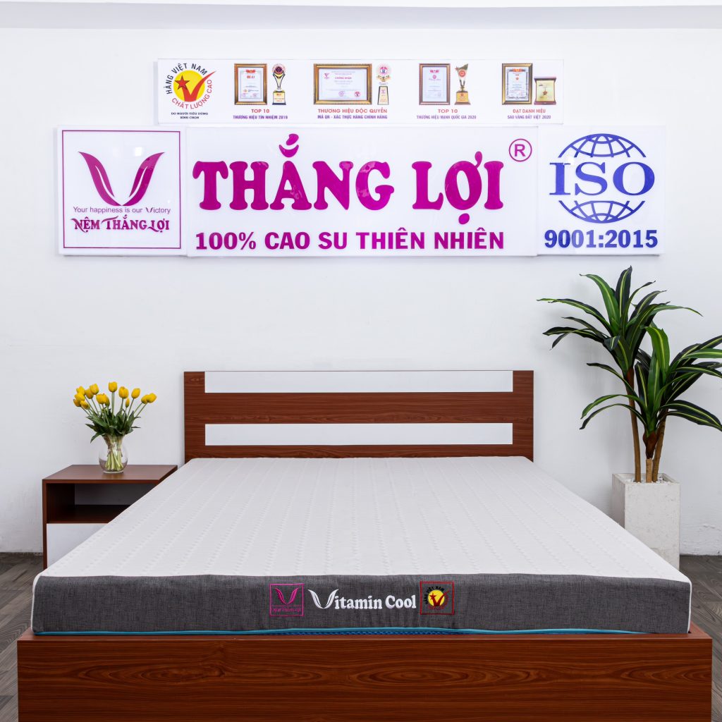 Cửa hàng bán nệm cao su non Nam Định - Chất lượng & Uy tín - KHO NỆM THẮNG LỢI