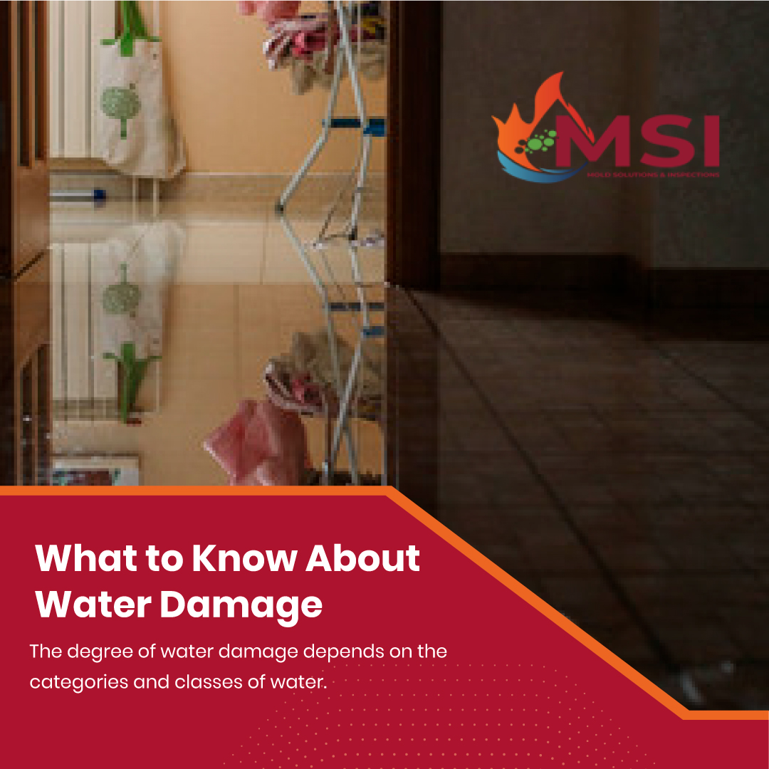 Understanding the Different Types of Water Damage and How to Restore Them – Mold Solutions & Inspections